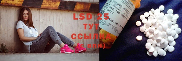 хмурый Новозыбков