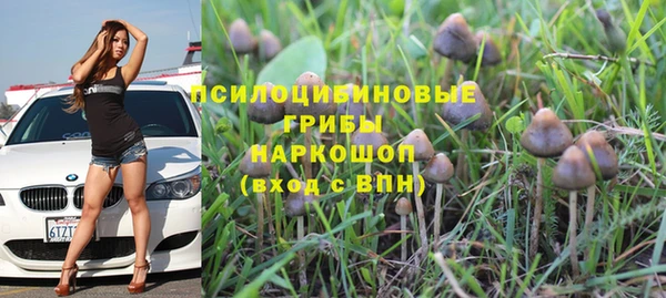 прущие крисы Осинники