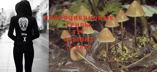 гашишное масло Волоколамск