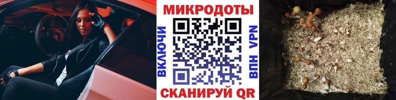 Псилоцибиновые грибы GOLDEN TEACHER  Нерчинск 