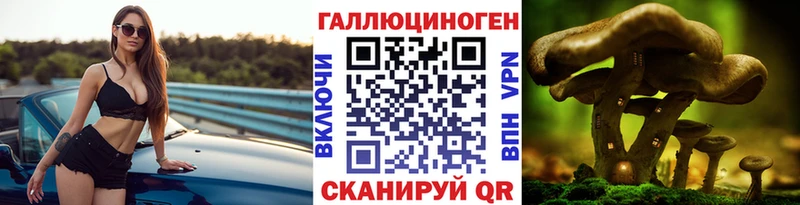 Псилоцибиновые грибы прущие грибы Нерчинск